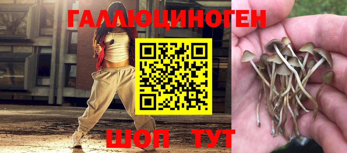 Кизилюрт  Галлюциногенные грибы MAGIC MUSHROOMS  Вход с VPN 